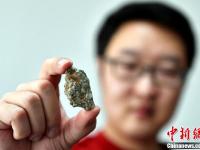 “陨石猎人”的追星梦