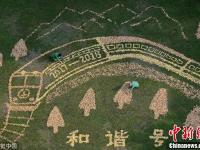 6旬绿化工用银杏叶拼出“和谐号黄金列车”