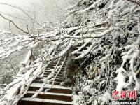 四川万源八台山迎来今冬首场大雪