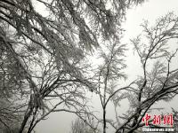 四川万源八台山迎来今冬首场大雪