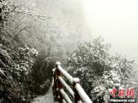 四川万源八台山迎来今冬首场大雪
