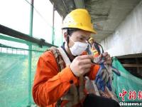 京九铁路线上的“修桥工”