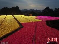 入夜后种植基地亮起数万盏灯 场面壮观
