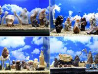 奇石版“西游记”惟妙惟肖