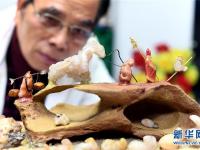 奇石版“西游记”惟妙惟肖