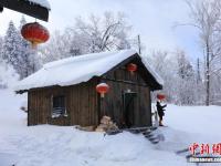 雾凇林海装点高山雪原美景 