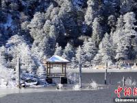 四川螺髻山迎来首场冬雪宛如仙境