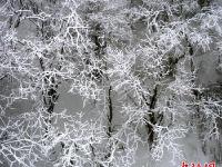 四川螺髻山迎来首场冬雪宛如仙境