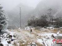 四川螺髻山迎来首场冬雪宛如仙境