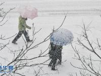  山东烟台普降大雪