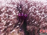 九景衢铁路开通在即 美丽高姐鄱阳湖畔秀靓姿