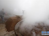  江苏泗洪：寒冬时节酒香浓