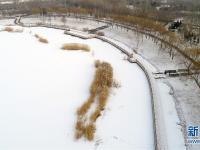  雪降银川
