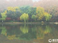  雨雾西湖 游兴不减