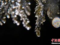 蜀南第一雄关雪山关迎来首场降雪