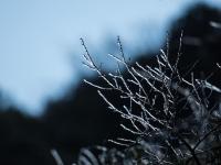  蜀南第一雄关雪山关迎来首场降雪