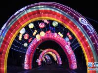  元旦观花灯
