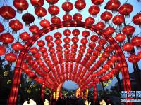 元旦观花灯