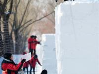  全国大学生雪雕比赛在太阳岛开铲