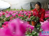  小寒时节忙“冬管”