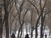  东北多地迎来新一轮降雪
