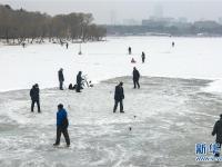  东北多地迎来新一轮降雪