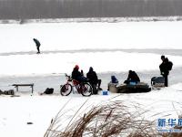  东北多地迎来新一轮降雪