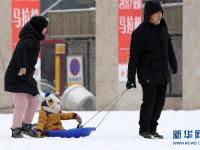  东北多地迎来新一轮降雪
