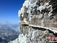  四川光雾山雪后银装素裹 美不胜收