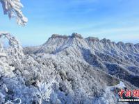  四川光雾山雪后银装素裹 美不胜收