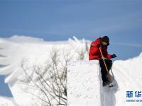  哈尔滨：国际雪雕比赛开铲