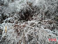  航拍南方游客庐山尽享冰雪运动乐趣