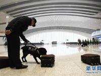  渝贵铁路重庆首发阵容亮相