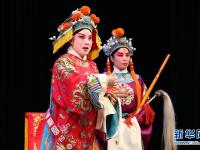  石家庄：丝弦展演迎新春