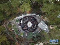  贵州剑河：斗画眉 迎新春