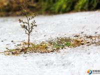 邵阳市区降下2018年初雪