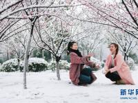  踏雪寻梅