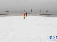  雪里“红”