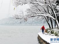  雪里“红”