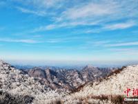  湖北保康高山雾凇美如画