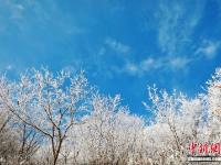  湖北保康高山雾凇美如画