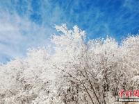  湖北保康高山雾凇美如画