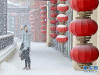  山东半岛迎春雪