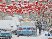  山东半岛迎春雪