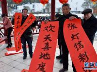  安徽金寨：“文化年货”送进大别山区