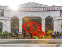 花团锦簇迎新春 10万盆鲜花扮靓宝庆街头