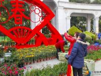 花团锦簇迎新春 10万盆鲜花扮靓宝庆街头