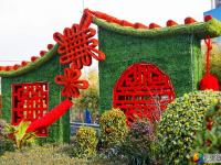 花团锦簇迎新春 10万盆鲜花扮靓宝庆街头