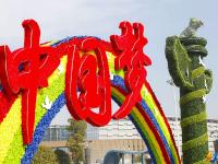 花团锦簇迎新春 10万盆鲜花扮靓宝庆街头