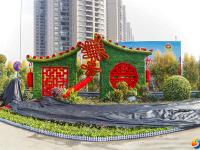 花团锦簇迎新春 10万盆鲜花扮靓宝庆街头